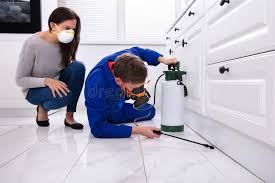 Best Pest Prevention Services  in Calcium, NY